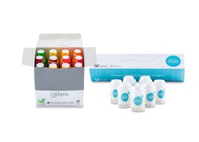 KIT 2 - SKIN CARE INTENSIVO PREMIUM - QUINCENAL